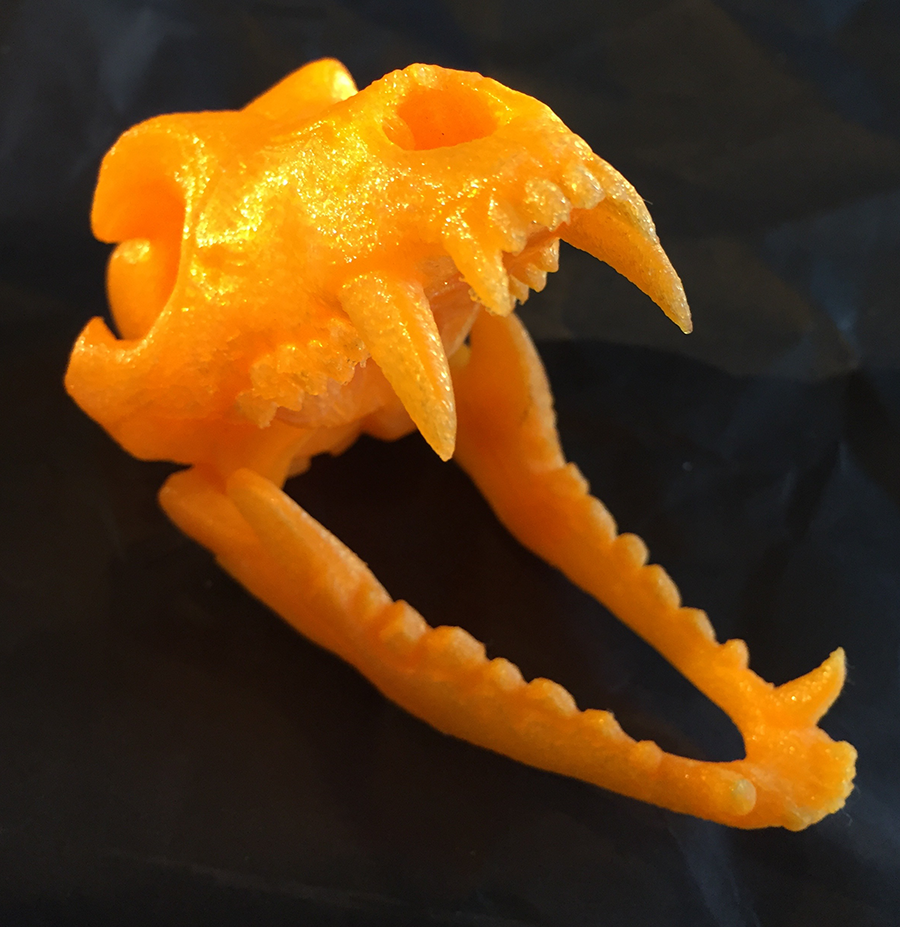 3D Kitbash Wolf Skull